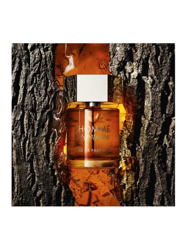 lhomme eau de parfum voor mannen lhomme eau de parfum voor mannen