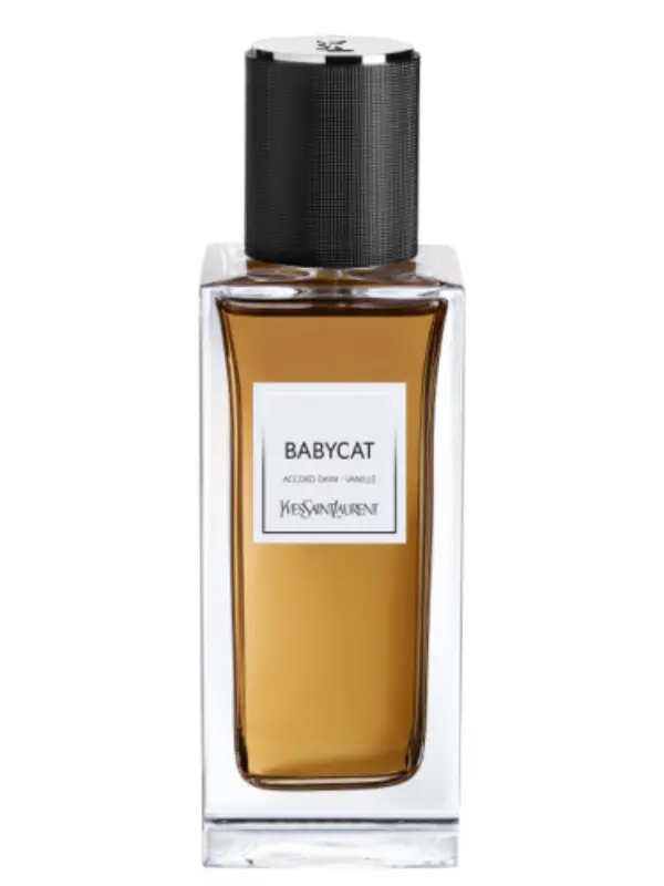baby cat yves saint laurent baby cat yves saint laurent