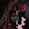 yves saint laurent black opium le parfum parfum voor dames box