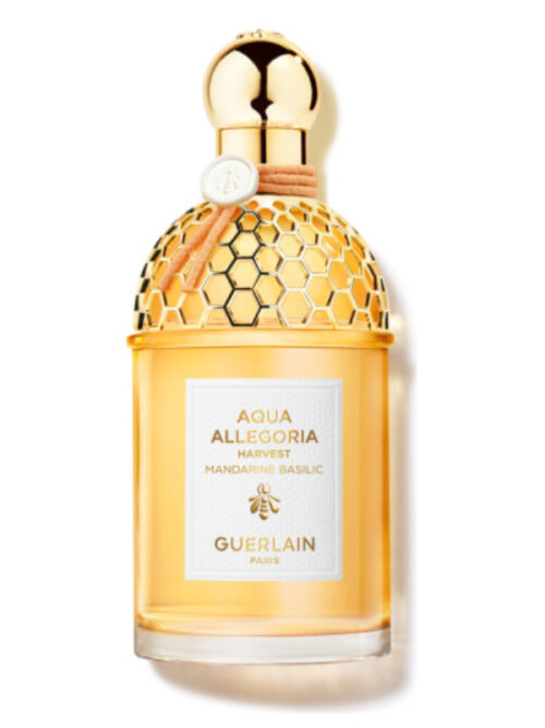 Guerlain Aqua Allegoria Mandarine Basilic Forte Eau de Parfum Guerlain Aqua Allegoria Mandarine Basilic Forte Eau de Parfum