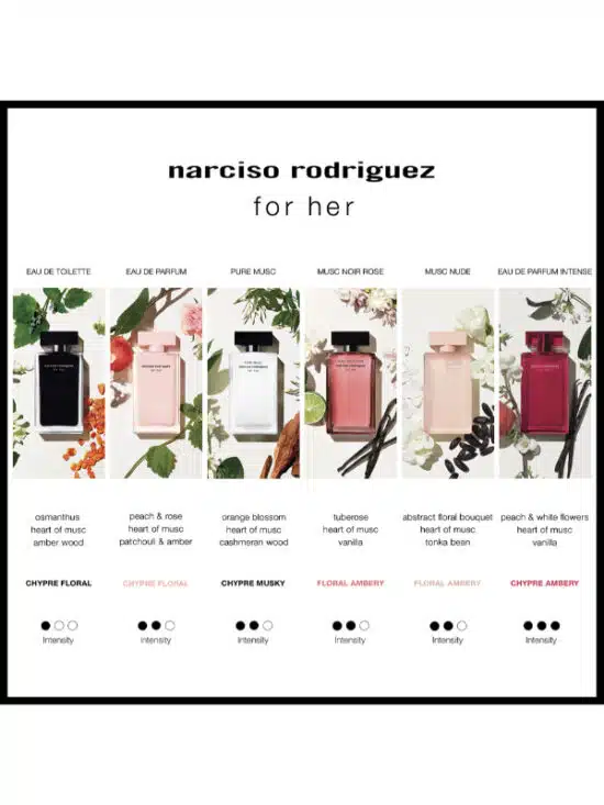 all-narciso